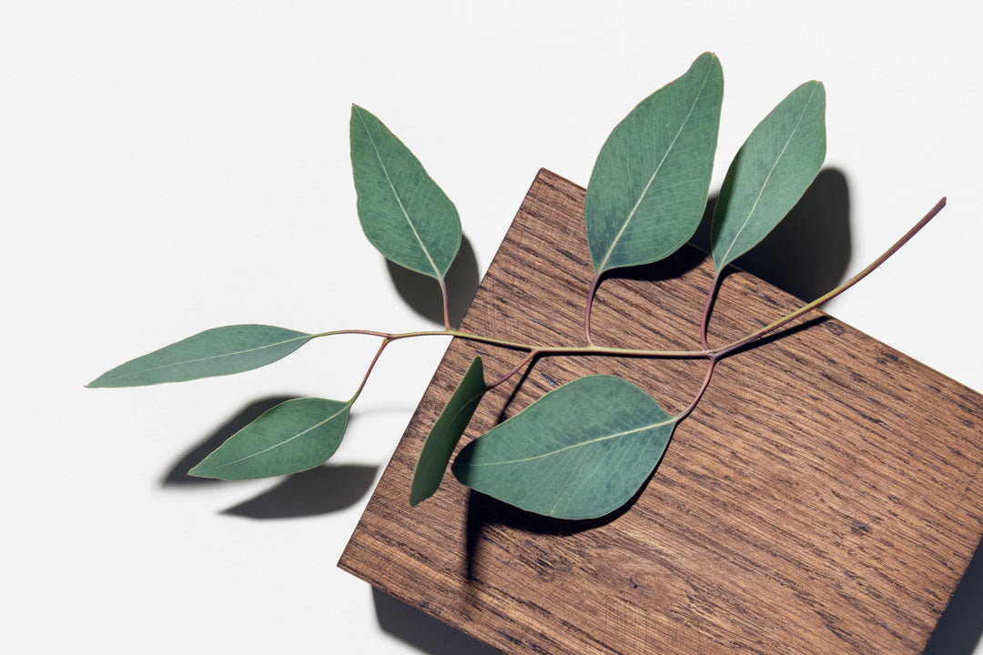 Can you use a menstrual cup with an IUD?