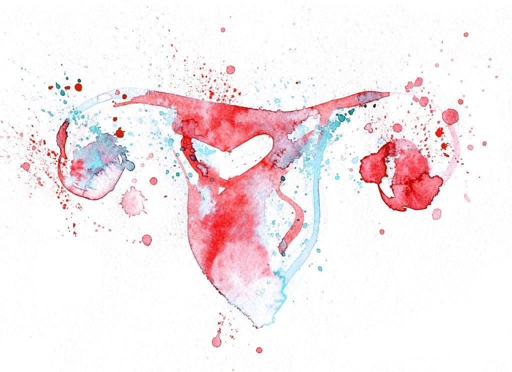 Can I Get Pregnant When I’m Ovulating?